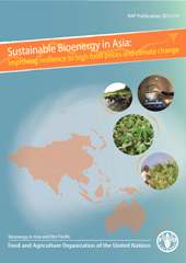 Sustainable bioenergy in Asia: Improving resilience to high food prices and climate change