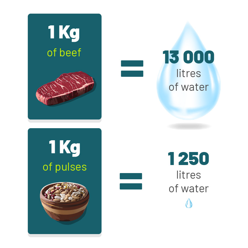 Beef Pulse Water Infographic