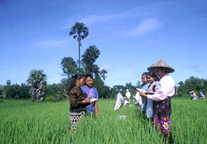 FAO/20896.1/K. PRATT