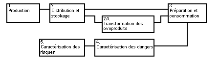 valuation des risques lis  Salmonella dans les œufs et les poulets de chair - RSUM INTERPRTATIF