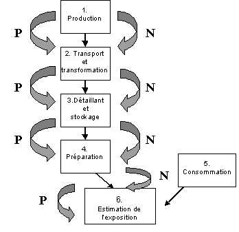 valuation des risques lis  Salmonella dans les œufs et les poulets de chair - RSUM INTERPRTATIF