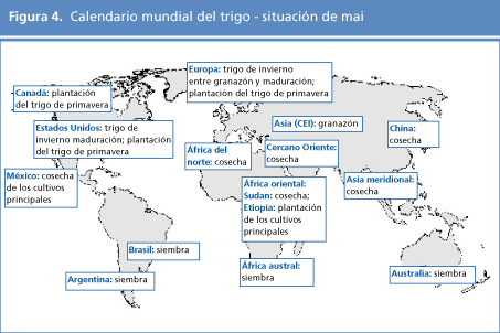 perspectivas alimentarias