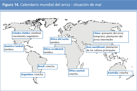 perspectivas alimentarias