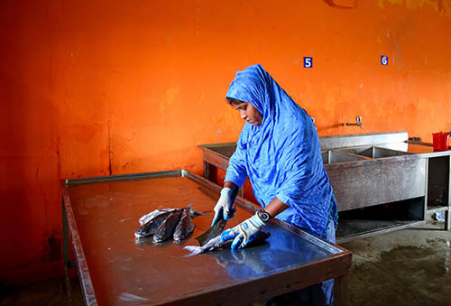 BANGLADESH – Una mujer trabaja en una planta de elaboración de pescado.