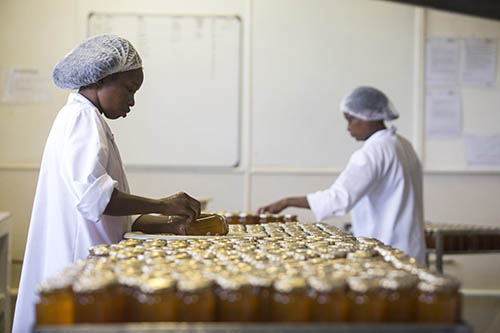 ESWATINI – Trabajadoras limpian tarros de mermelada antes de etiquetarlos en una fábrica.