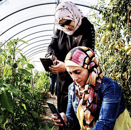 ITALIA – Dos productoras en pequeña escala, procedentes de la República Árabe Siria visitan los huertos de la Universidad de Ciencias Gastronómicas.