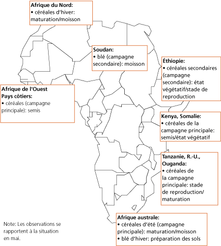 Perspectives de rcoltes et situation alimentaire 