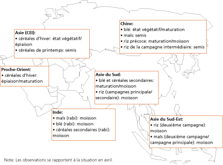 Perspectives de rcoltes et situation alimentaire 