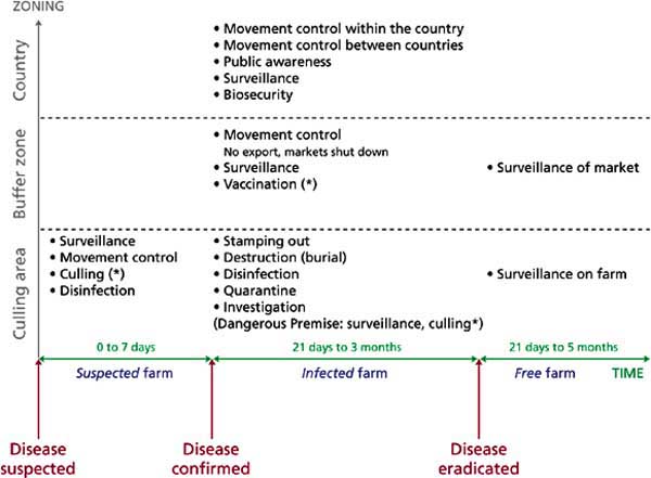 Figure 2: Strategies implemented at national level (summary)