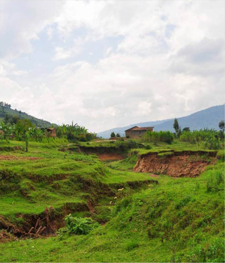 ©FAO/Salvator Ndabirorere