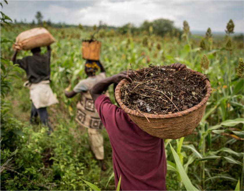 ©FAO/Marco Longari