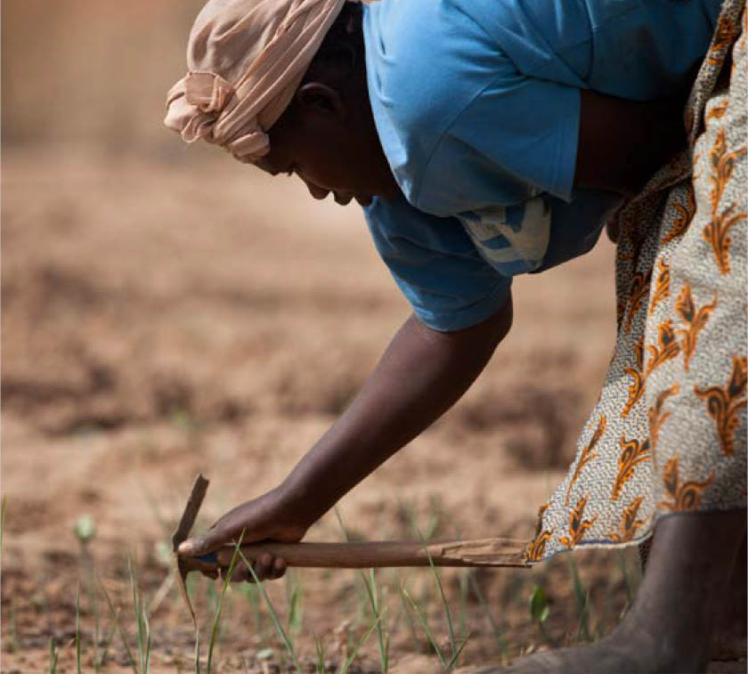 ©FAO/Giulio Napolitano