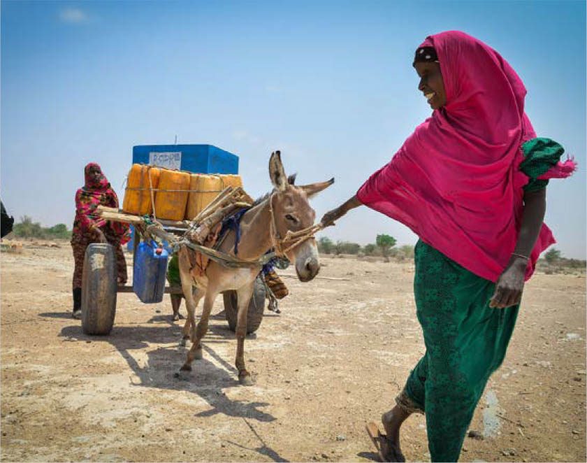 ©FAO/IFAD/WFP/Michael Tewelde