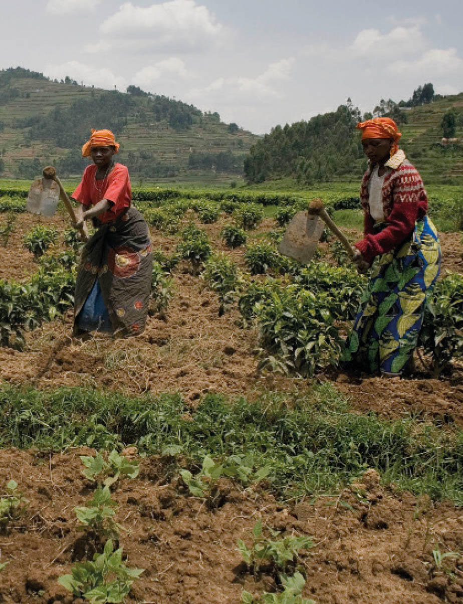 ©FAO/Giulio Napolitano