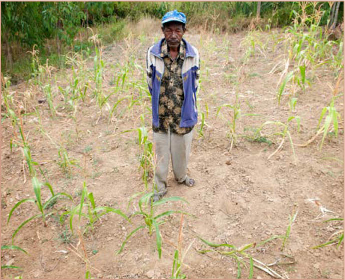 ©FAO/Christena Dowsett