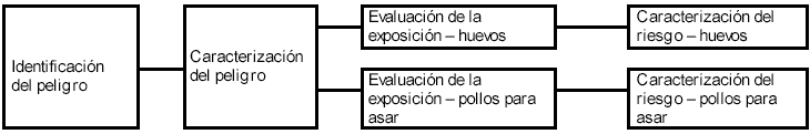 Evaluaciones de riesgos de Salmonolla en huevos y pollos para asar - RESUMEN INTERPRETATIVO