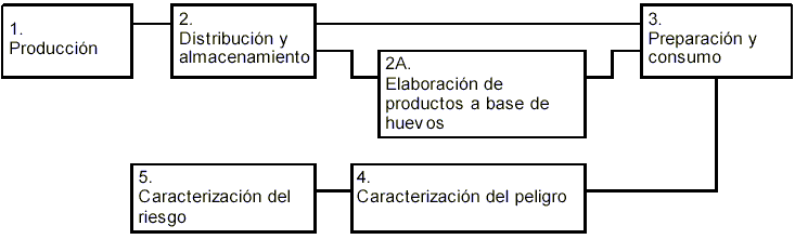 Evaluaciones de riesgos de Salmonolla en huevos y pollos para asar - RESUMEN INTERPRETATIVO