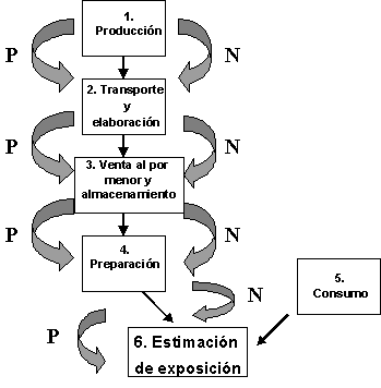 Evaluaciones de riesgos de Salmonolla en huevos y pollos para asar - RESUMEN INTERPRETATIVO