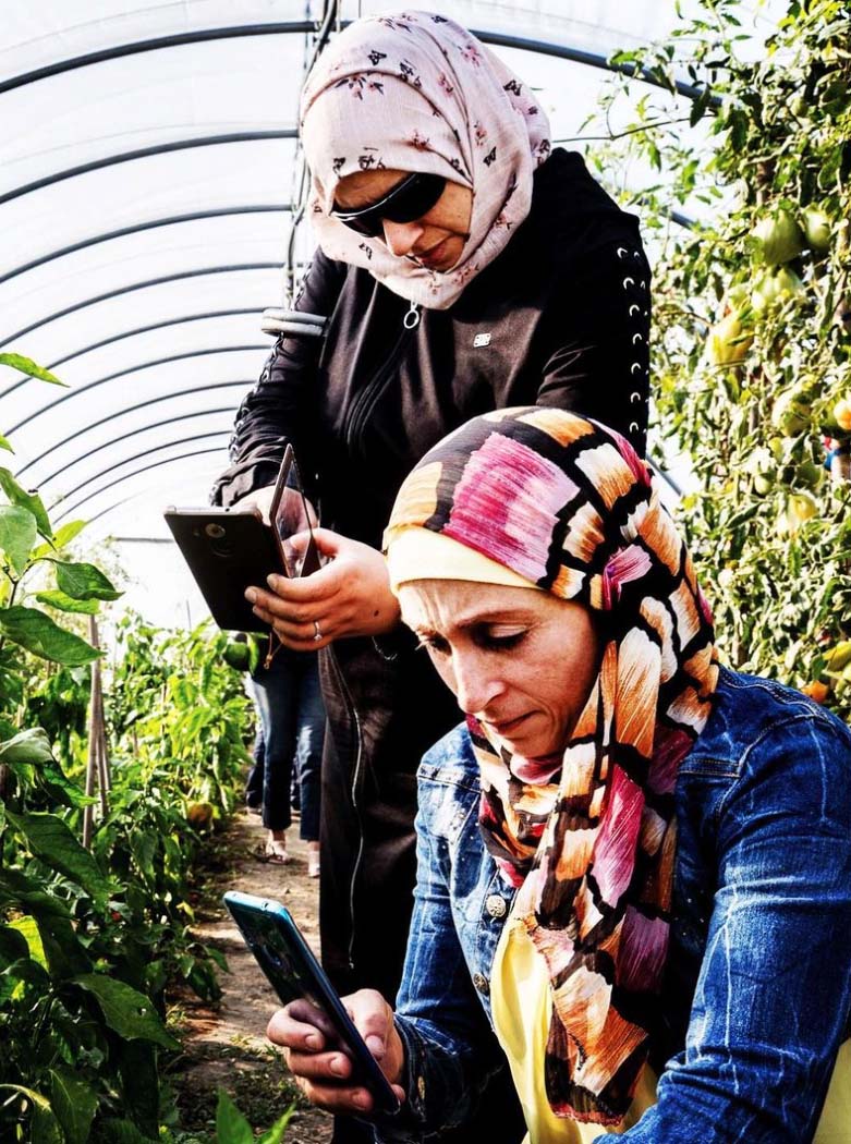 Italy – Two small-scale food producers from Syrian Arab Republic visit the vegetable gardens of the University of Gastronomic Sciences.