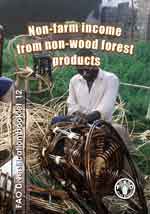 Non-farm income from non-wood forest products