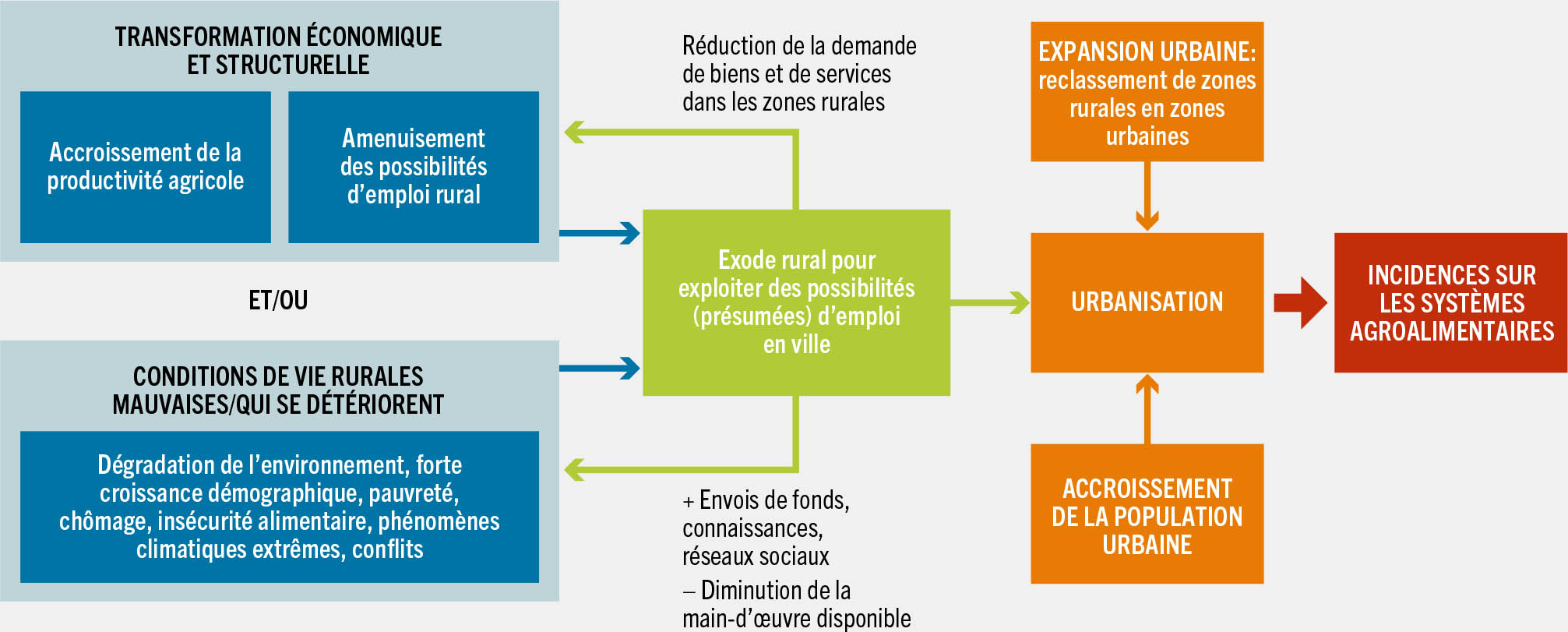 SOURCE: de Bruin, S., et Holleman, C. 2023. Urbanization is transforming agrifood systems across the rural-urban continuum creating challenges and opportunities to access affordable healthy diets. Document d’information établi pour servir de base à L’État de la sécurité alimentaire et de la nutrition dans le monde 2023. Document de travail de la FAO sur l’économie du développement agricole 23-08. Rome, FAO.