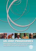 UN Joint programmes