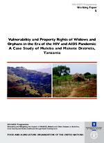 Vulnerability and Property Rights of Widows and Orphans in the Era of the HIV and AIDS Pandemic: A Case Study of Muleba and Makete Districts,Tanzania 