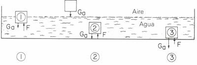 GUA DE BOLSILLO DEL PESCADOR