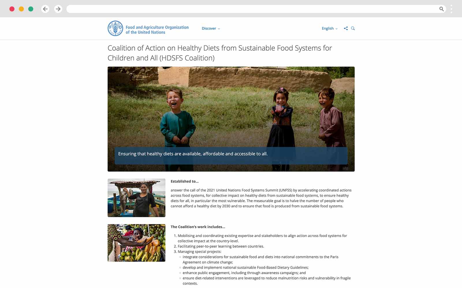 FAO webpage carrying a story on making healthy diets affordable and accessible