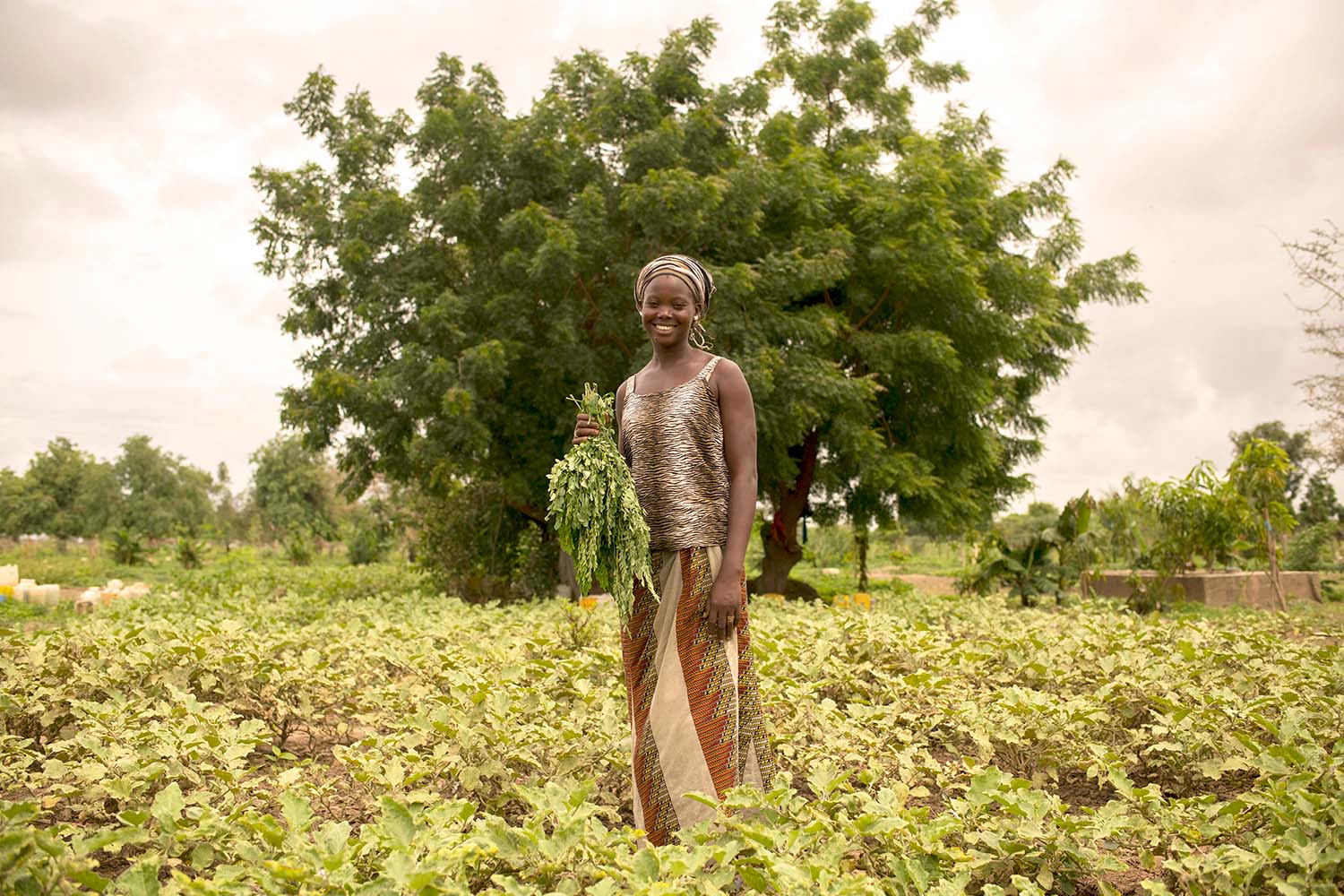 A Senegalese woman, framed by a large tree, displays tied-up moringa leaves