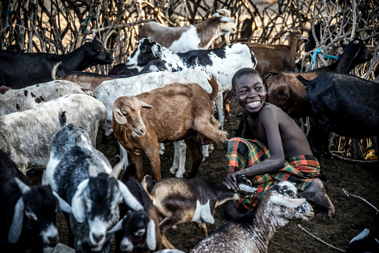 A Kenyan boy, looking happy and healthy, tends to the family goat herd