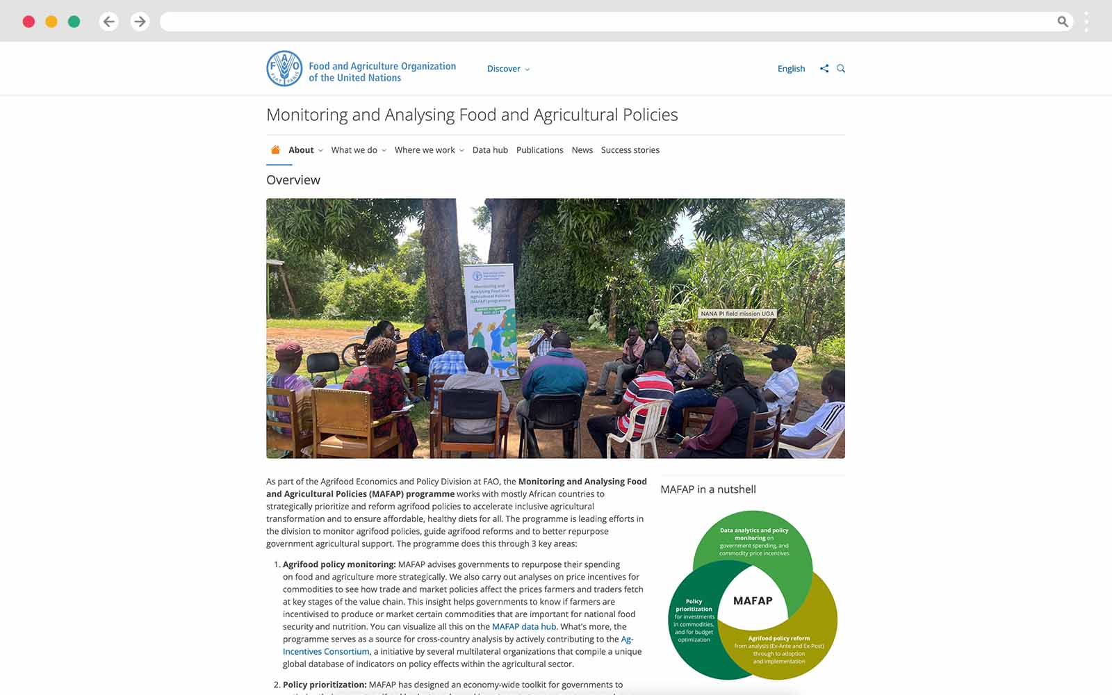 FAO webpage carrying an overview of monitoring and analysis of food policies