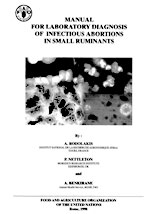 Manual for laboratory diagnosis of infectious abortions in small ruminants