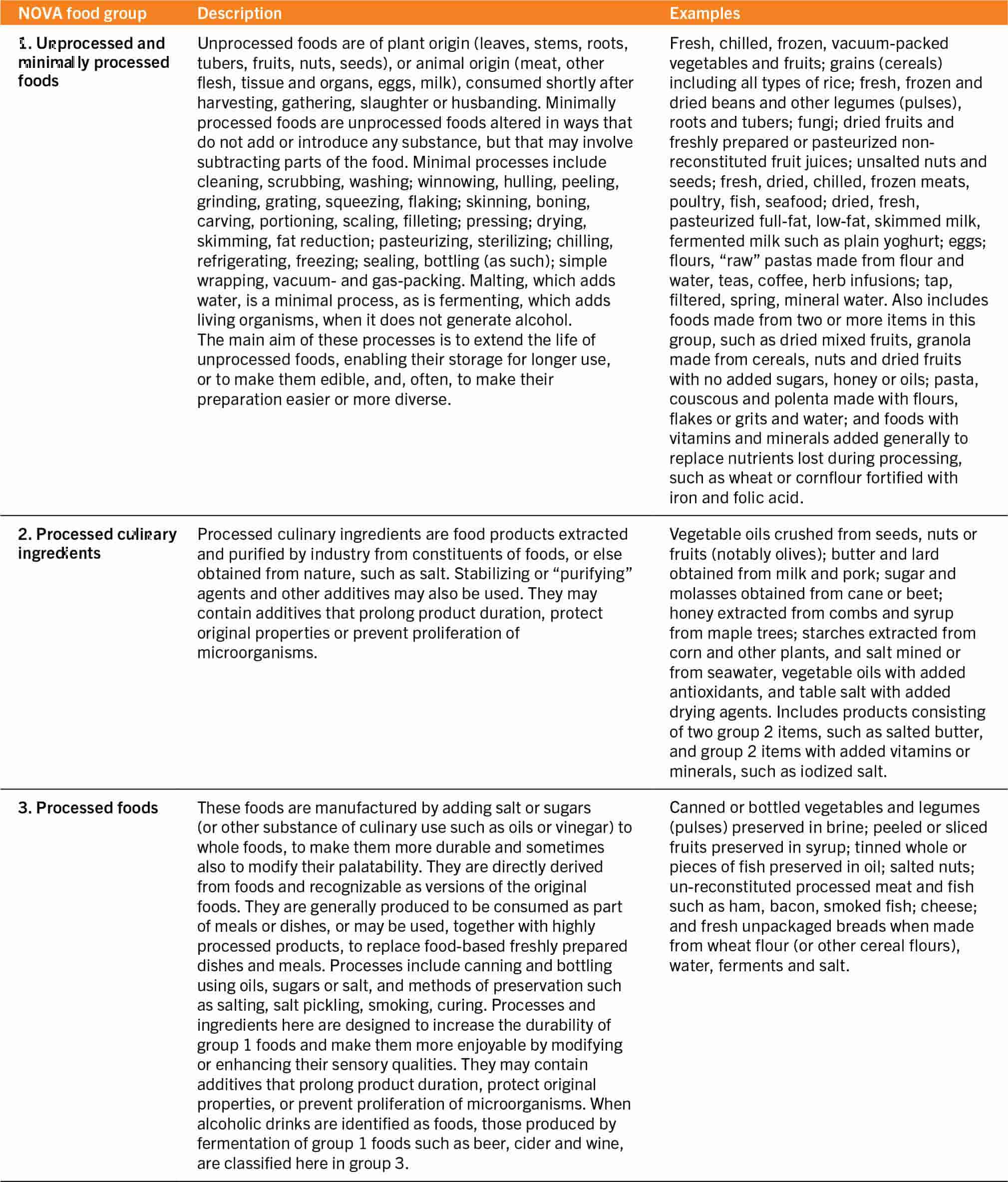 A table lists the NOVA food groups with descriptions and examples.