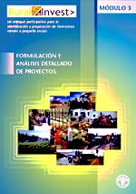 FORMULACIN Y ANLISIS DETALLADO DE PROYECTOS