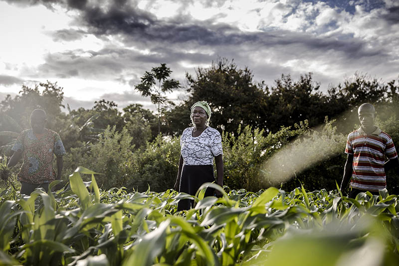 KENYA – Une femme sur son exploitation agricole touchée par des pertes de récoltes et de pâturages dues au criquet pèlerin et à la sécheresse.