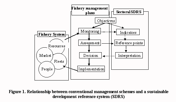 Relationship conventional management/sustainable development