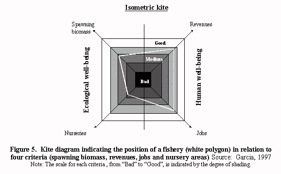 Isometric kite