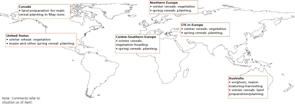 Crop Prospects and Food Situation