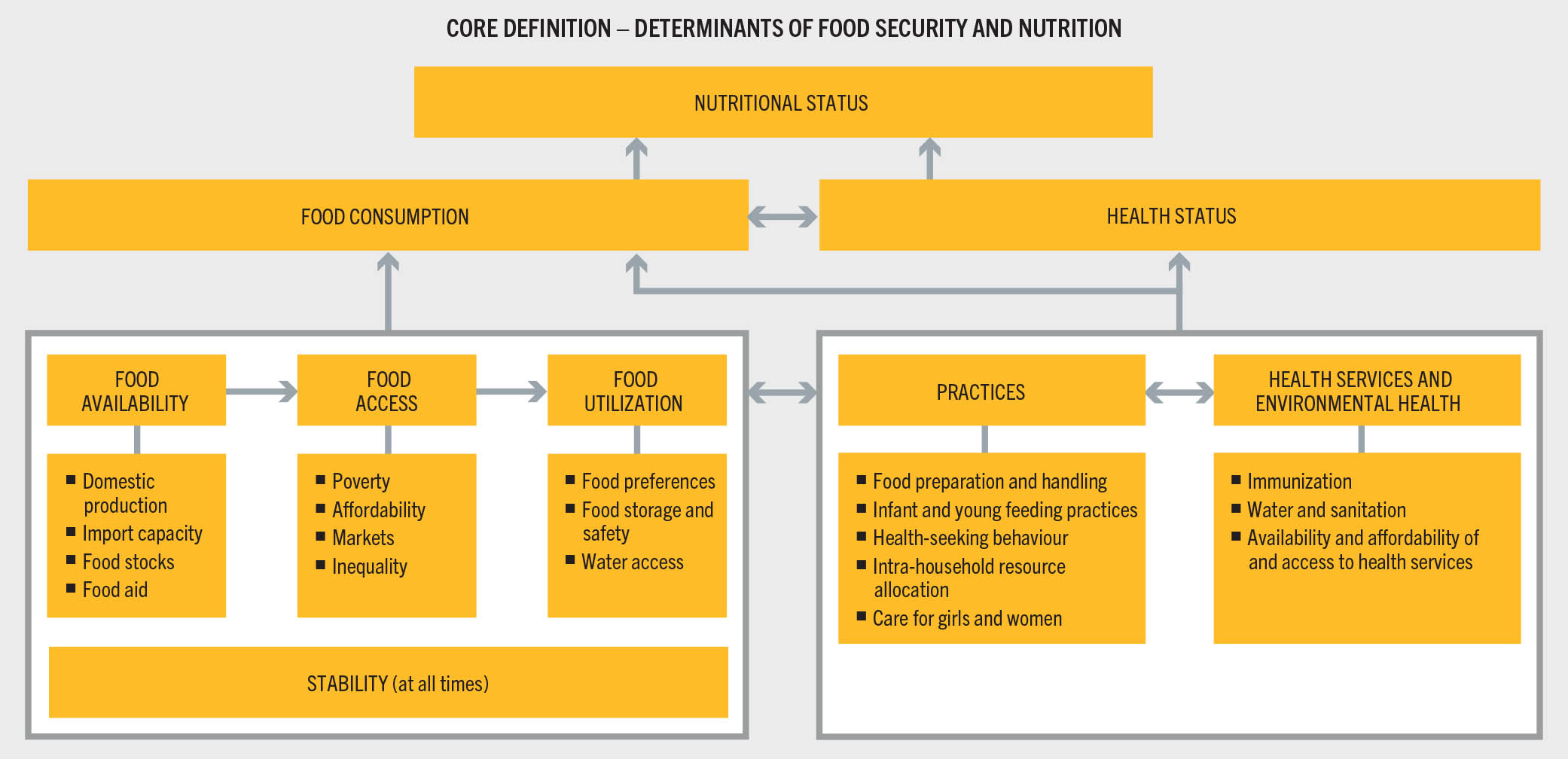 A flowchart illustrates the core definitions - determinants of food security and nutrition. At the top, the nutritional status is determined by both food consumption and health status, which are interconnected. Food consumption is determined by food availability, food access, food utilization, and stability at all times. Health status is defined by practices and health service and environmental health, which are also interconnected at the bottom. Food availability is determined by domestic production, import capacity, food stocks and food aid. Food access is influenced by povertu, affordability, markets, and inequality. Food utilization relates to food preferences, food storage and safety, and water access. Under health status, practices referes to food preparation and handling, infant and young feeding practices, health-seeking behaviour, intra-household resource allocation, and care for girls and women. Health services and envvironmental health include immunization, water and sanitation, and availability and affordability of and access to health services.